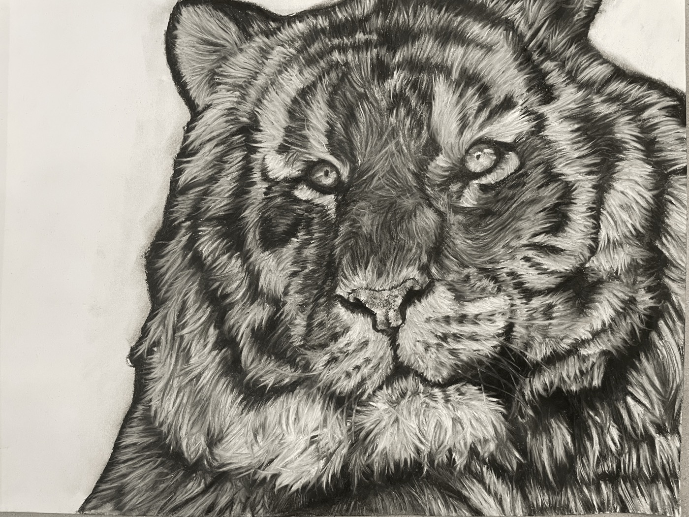 Tiger artwork